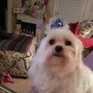 Meet your Posher, Fran